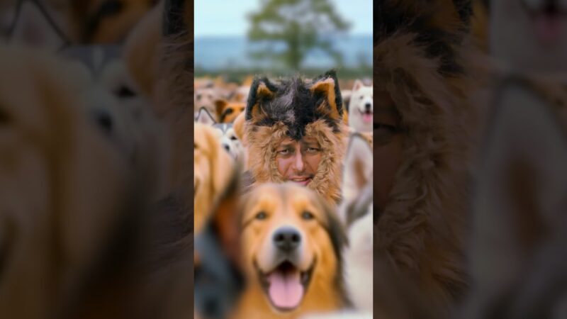 『THE #オリバーな犬 、(Gosh!!)このヤロウ MOVIE』～926匹のわんちゃん篇～