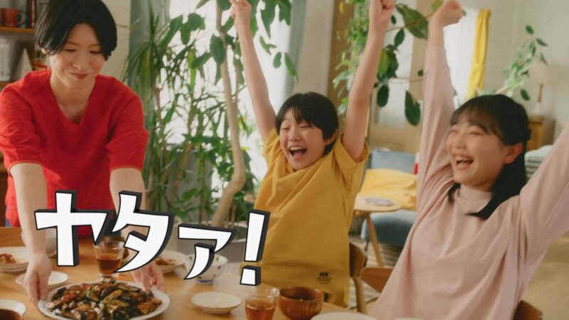 今日の大皿 鶏ももなす「週ナカ冷蔵庫」篇