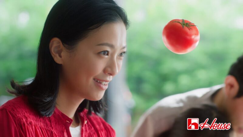 完熟トマトのハヤシライスソース