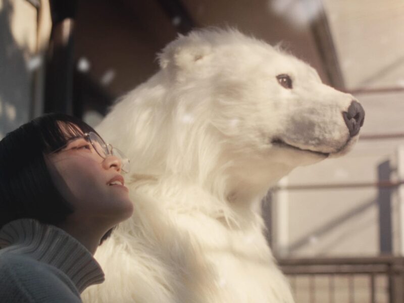 住むだけで地球にやさしい暮らし方