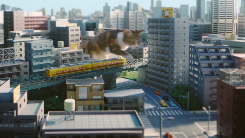 全国交通にゃん全運動2024