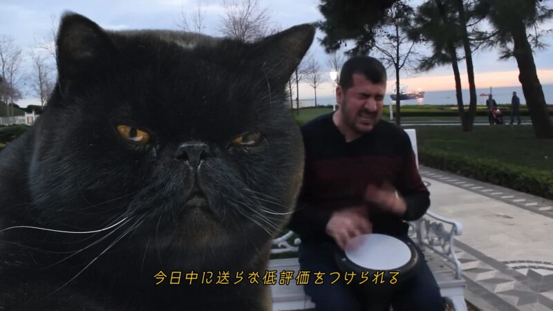 「クロネコみっけ/集荷サービス」荷物送りに行くん邪魔くさいねんポルカ/クロネコみっけ feat.Bilal Göregen